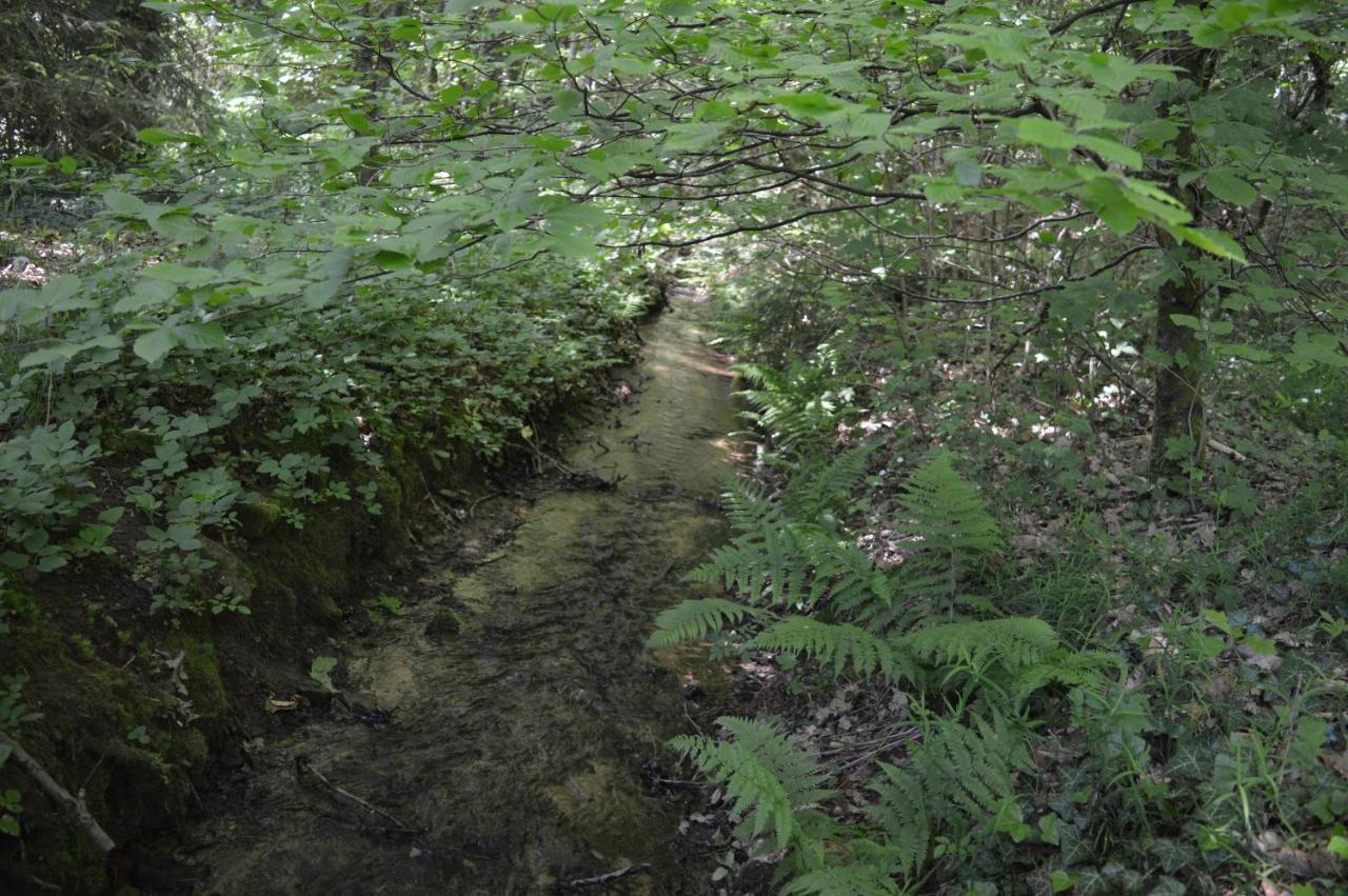 Le Moulin De Chatillon Saint-Leger Zewnętrze zdjęcie