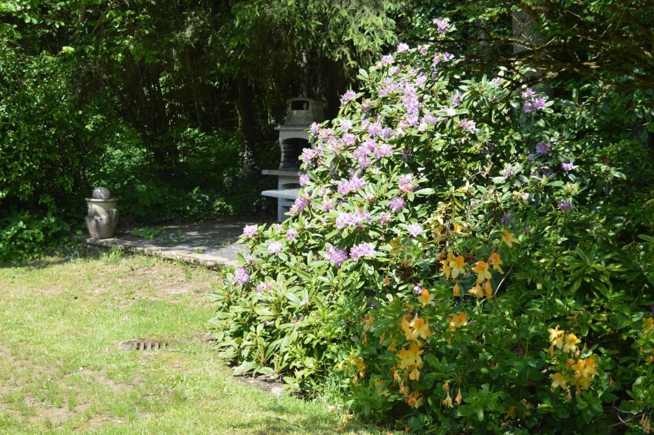 Le Moulin De Chatillon Saint-Leger Zewnętrze zdjęcie